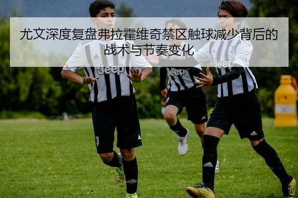 尤文深度复盘弗拉霍维奇禁区触球减少背后的战术与节奏变化