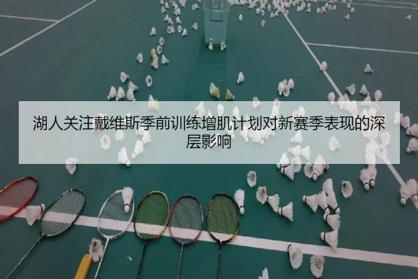 湖人关注戴维斯季前训练增肌计划对新赛季表现的深层影响